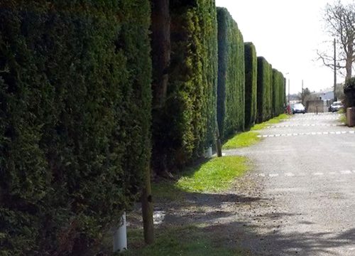 Entrée Camping Chauchamps