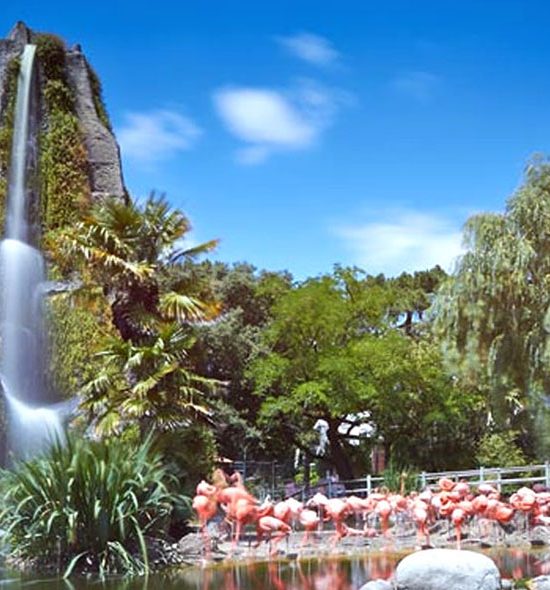 Zoo de La Palmyre
