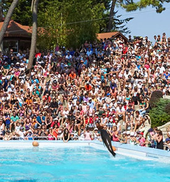 Zoo de La Palmyre