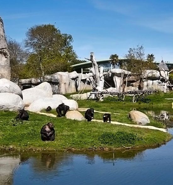 Zoo de La palmyre