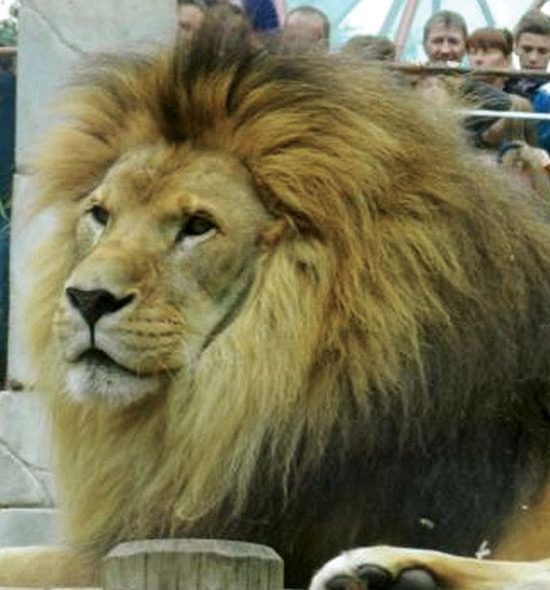 Zoo de La Palmyre